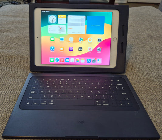 iPad 5th Generation (Used Like New)