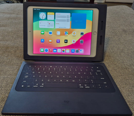 iPad 5th Generation (Used Like New)