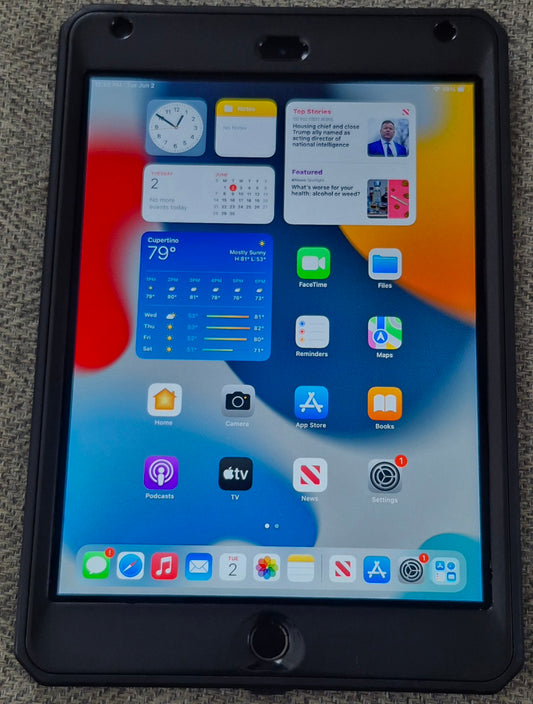 Apple iPad Mini 4 (128GB) – Black/Space Gray (Used like New)